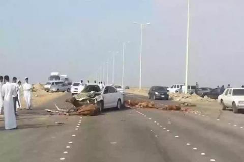 حادث مرعب في السعودية يحولهم الى لحم مفروم