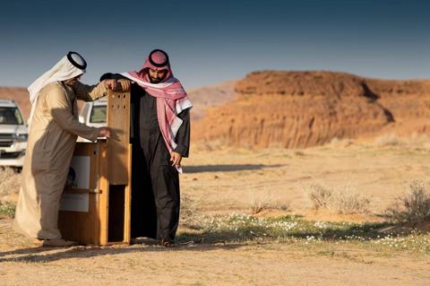 عاجل: الكشف عن 4 مناطق في السعودية ستجذب ثلث