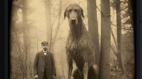 آخر كلب صيد عملاق بأيرلندا.. صورة عمرها 120 سنة