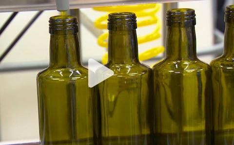 المعجزه المدفونة…هل يمكن لزيت الزيتون أن يحميك