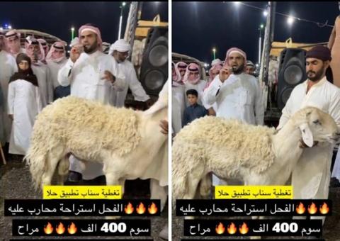 بالفيديو بيع اغلى خروف في مزاد بالسعودية بسعر