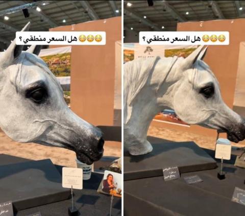 فيديو لعرض مجسم رأس حصان عربي للبيع بسعره صادم